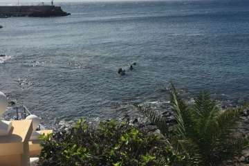 IV Open Fotosub Telde en aguas de Taliarte y Tufia (Foto TA)